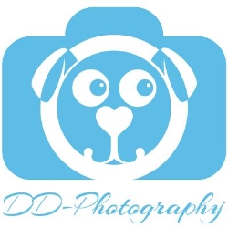 DD-Photography, Antwerpen openingstijden