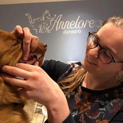 Dierenarts Annelore Vanroose, Kortemark openingstijden