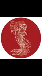 Sushi Sakana, Zottegem openingstijden