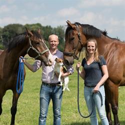 Dierenartsenpraktijk Groot en Klein, Hertsberge openingstijden