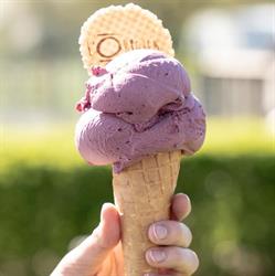 L'origien, Kampenhout openingstijden