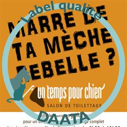Un temps pour chien, Oerle openingstijden
