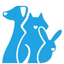 Dierenarts Kimberly De Vlieger, Waregem openingstijden