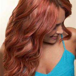 Hairdesign Infinity, Hofstade openingstijden