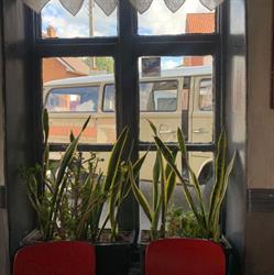 Rondje Westhoek, Poperinge openingstijden