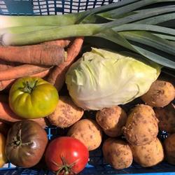 Mon panier bio, Hamme-Mille openingstijden