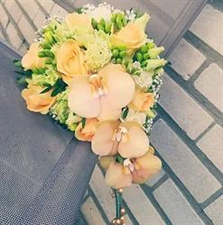 Fleur de rêve, Herve openingstijden