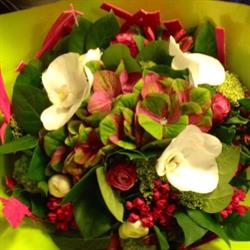 Papaver, Brugge openingstijden