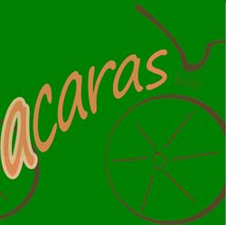 ACARAS bvba, Vosselaar openingstijden