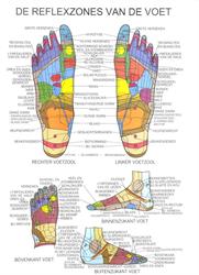 Heavenly Feet, Antwerpen openingstijden