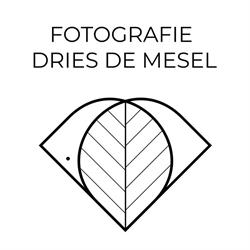 Fotografie Dries De Mesel, Sint-Lievens-Houtem openingstijden