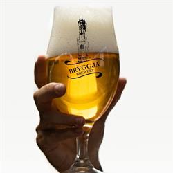 Bryggja Brewery Gcv, Damme openingstijden