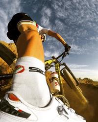 VRG Bikes, Puurs openingstijden