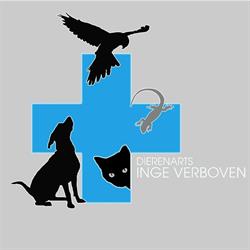 Dierenarts Inge Verboven, Drongen openingstijden