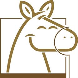 De Ponyhoeve Turnhout vzw, openingstijden