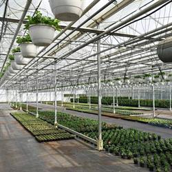 Den Donk Bloemen-en Planten, Essen openingstijden