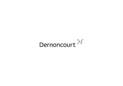 Dernoncourt Architecte, Namen openingstijden