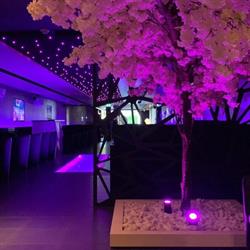 Bar D'or, Merelbeke openingstijden