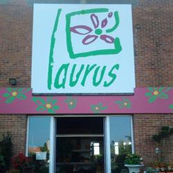 Bloemen Laurus, Sint-Niklaas openingstijden