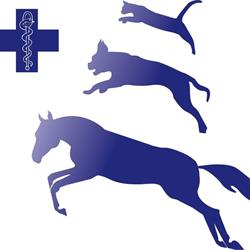 DAP Michiels Delphine, Sint-Denijs-Boekel openingstijden
