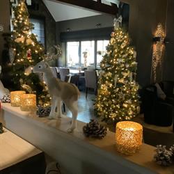 Brasserie Den Tijl, Oostkamp openingstijden
