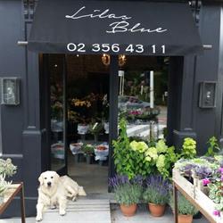 Lilas Blue, Sint-Genesius-Rode openingstijden
