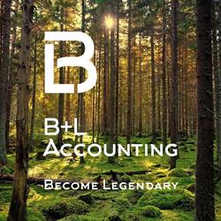 B & L Accounting, Brasschaat openingstijden