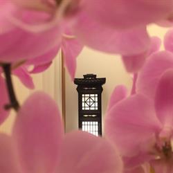 Tokyo WELLNESS, Kuringen openingstijden