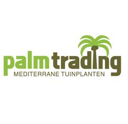 Palmtrading, Sint-Amands openingstijden