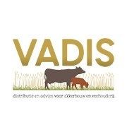 Aveve Vadis, Kruishoutem openingstijden