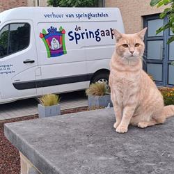 De Springaap, Retie openingstijden