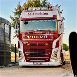 Transport M-Trucking BV, Pittem openingstijden