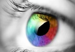 Colorelle Vof, Londerzeel openingstijden