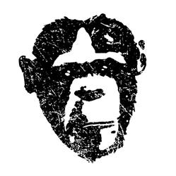 Monkeys at Midnight, Antwerpen openingstijden