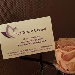 Entre terre et ciel - Reiki - Soins holistiques vibratoires - Massage énergétique, Verviers openingstijden