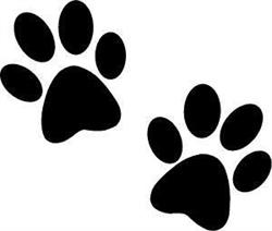 De Helpende Dierenpoten Vzw, Holsbeek openingstijden