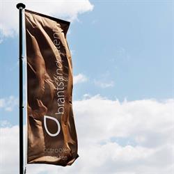 Brantsandpatents, Gent openingstijden