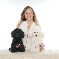 Hondentoilettage Nina, Waregem openingstijden