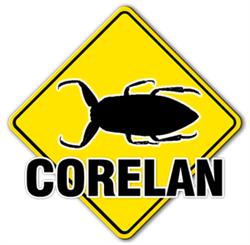 Corelan, Deerlijk openingstijden