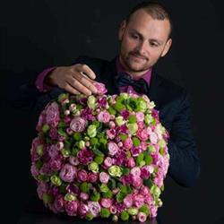 Knuts Wout, Diepenbeek openingstijden