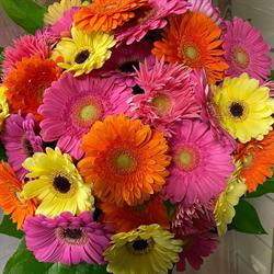 De Florist, Bornem openingstijden