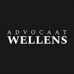 Advocaat Leen Wellens, Ham openingstijden