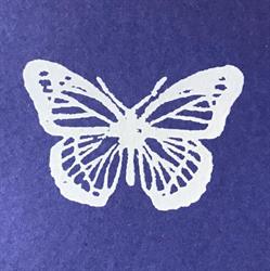 PAPILLON Toystore, Elsene openingstijden