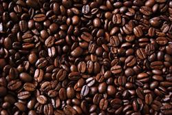 Het koffieboontje, Zandhoven openingstijden