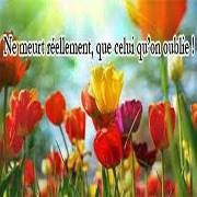 In Memoria SComm, Charleroi openingstijden