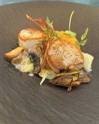 Brasserie Taste, Vilvoorde openingstijden