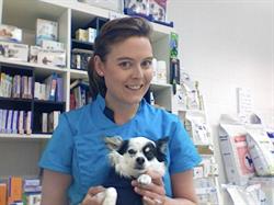 Dierenarts Annelies De Smet, Zulte openingstijden
