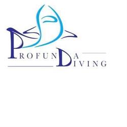 Profunda Diving Vzw, Aalst openingstijden