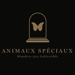Animaux Spéciaux, Leuven openingstijden