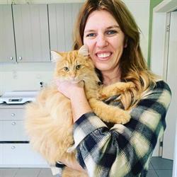 Dierenarts Merelbeke Tineke Bouw, openingstijden